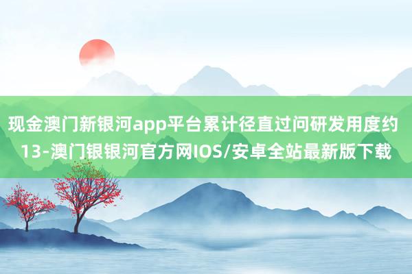 现金澳门新银河app平台累计径直过问研发用度约 13-澳门银银河官方网IOS/安卓全站最新版下载