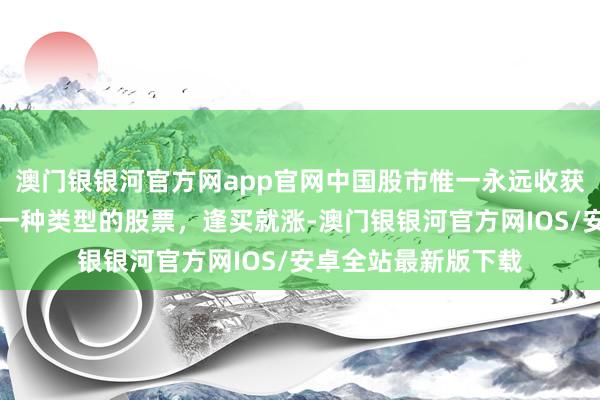 澳门银银河官方网app官网中国股市惟一永远收获的递次：坚捏只买一种类型的股票，逢买就涨-澳门银银河官方网IOS/安卓全站最新版下载