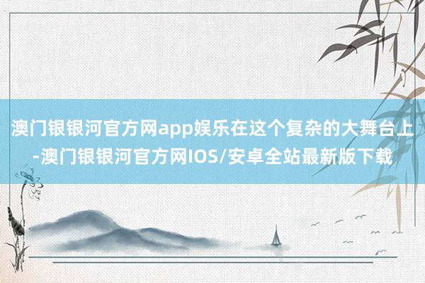 澳门银银河官方网app娱乐在这个复杂的大舞台上-澳门银银河官方网IOS/安卓全站最新版下载