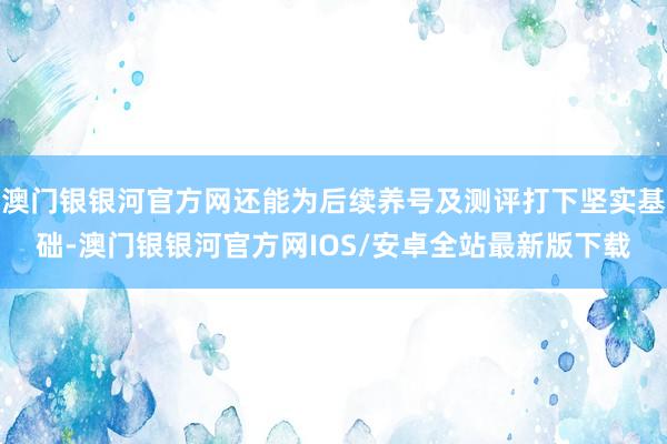 澳门银银河官方网还能为后续养号及测评打下坚实基础-澳门银银河官方网IOS/安卓全站最新版下载